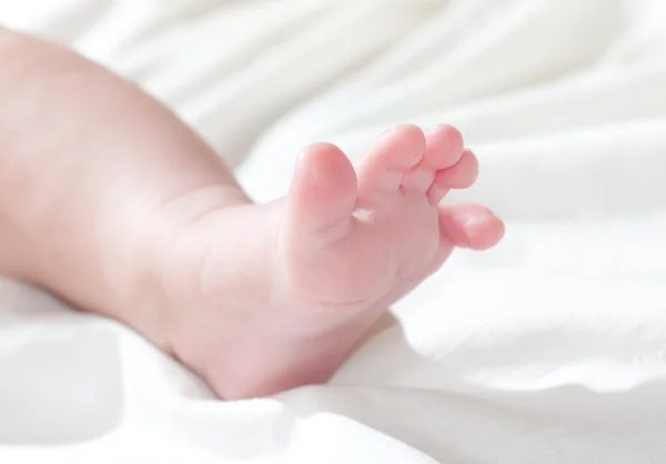 Süße neugeborene Babyfüße — Stockfoto