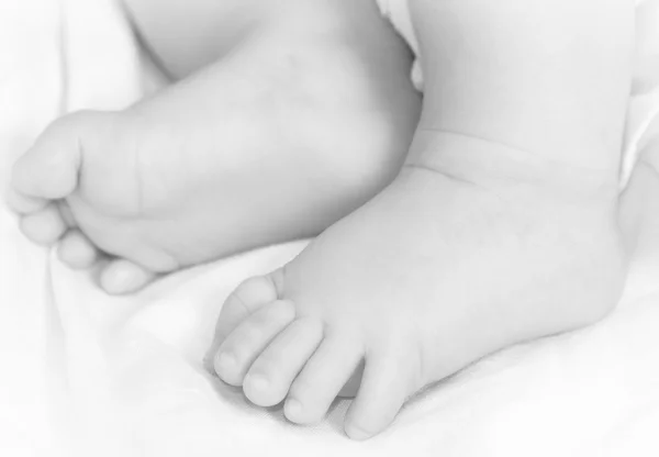 Sweet newborn baby feet — Stock Photo, Image