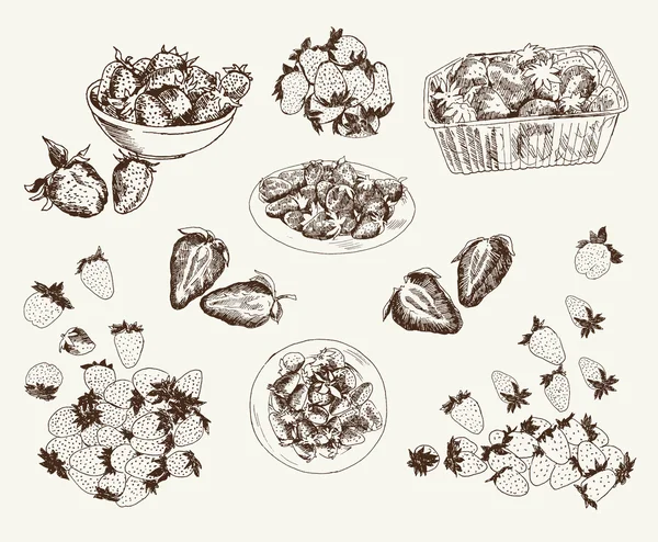 Fresas de jardín — Archivo Imágenes Vectoriales