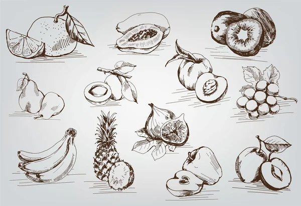 Ensemble de fruits — Image vectorielle