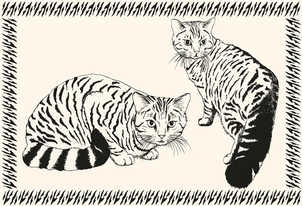 ¡Cat! bosquejo vectorial — Archivo Imágenes Vectoriales