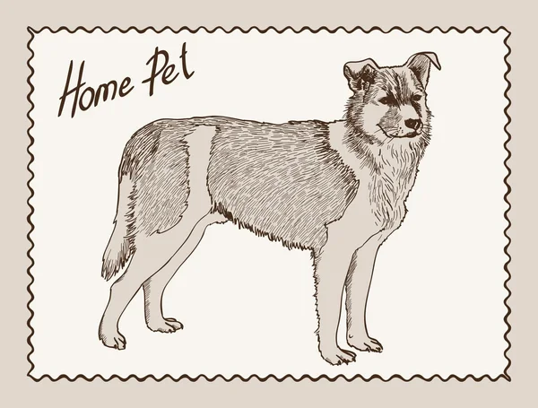 Σπίτι κατοικίδιο σκύλο — Διανυσματικό Αρχείο