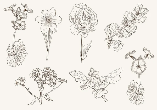 Набір квітів — стоковий вектор