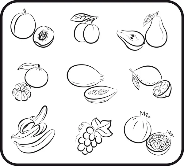 Frutas vetor desenhado à mão — Vetor de Stock