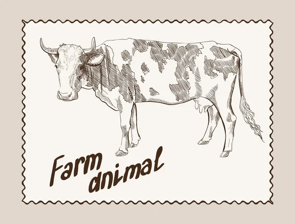 Vaca vector mano dibujado — Vector de stock