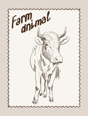 inek vektör elle çizilmiş