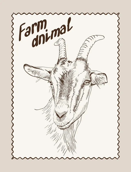 Goat vector hand drawn — Stock Vector