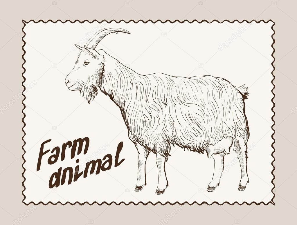 goat vector hand drawn