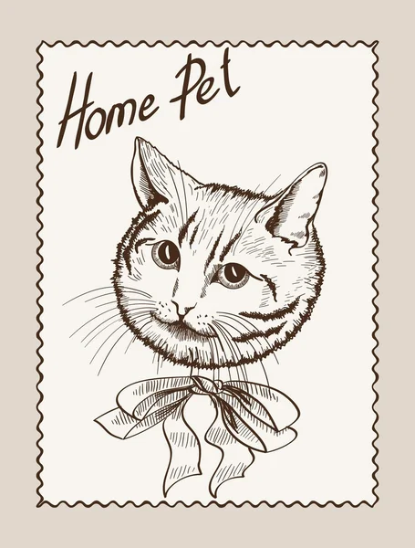 Gato doméstico — Archivo Imágenes Vectoriales