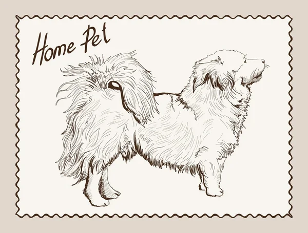 家庭のペットの犬 — ストックベクタ