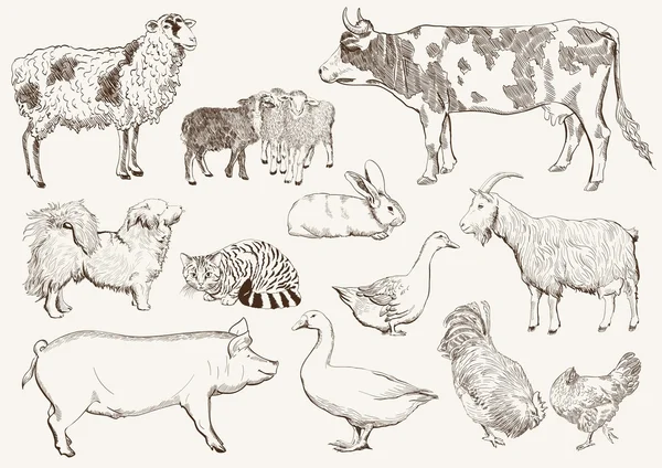 Farm animals — Stock Vector