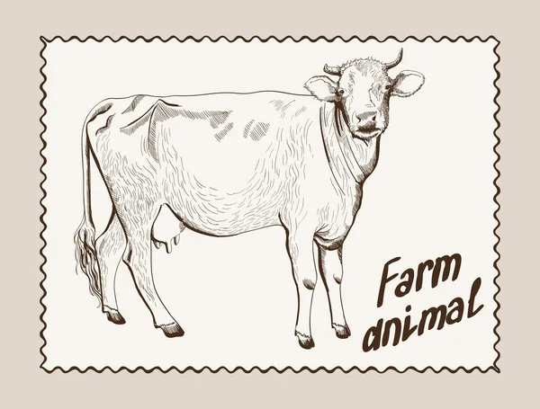 Vache vecteur dessiné à la main — Image vectorielle