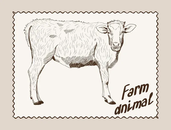 Kráva vektor ručně kreslenou — Stockový vektor