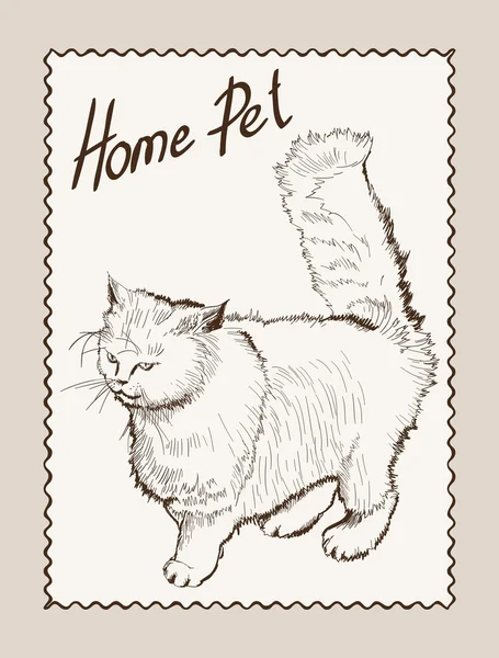 Home pet cat — Stock Vector