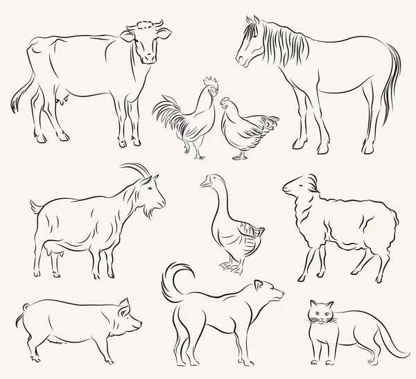 Farm animals — Stock Vector