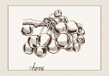 kiraz vektör elle çizilmiş