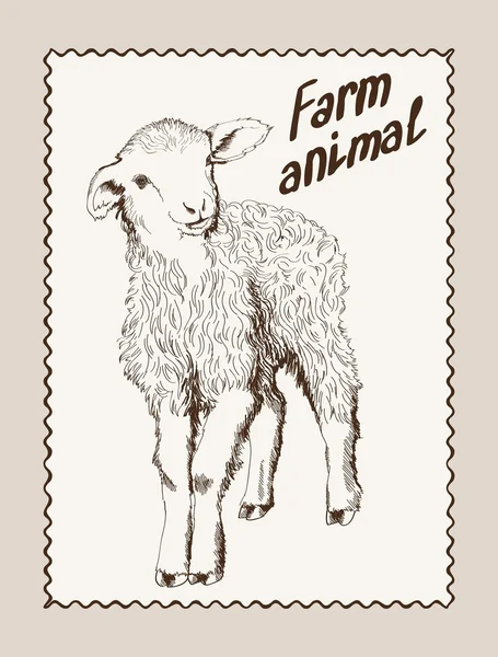 羊の繁殖 — ストックベクタ