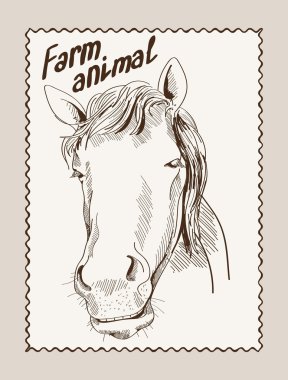 at vektör elle çizilmiş