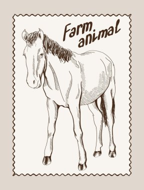 at vektör elle çizilmiş