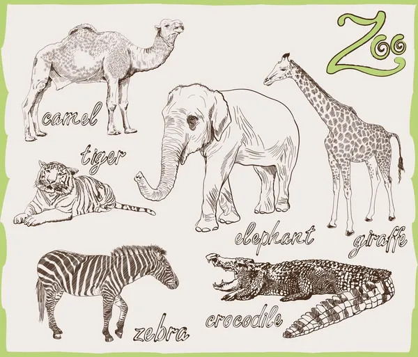 Animals from the zoo — Stock Vector