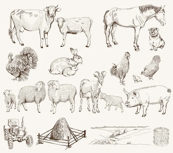 Animales de granja — Vector de stock