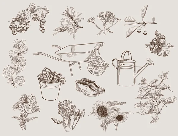 Jardin et accessoires — Image vectorielle