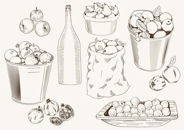Récolte des fruits — Image vectorielle