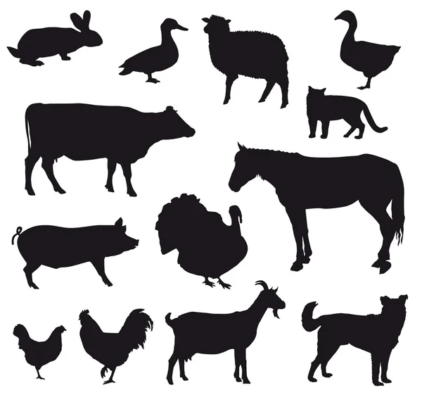 Farm animals — Stock Vector