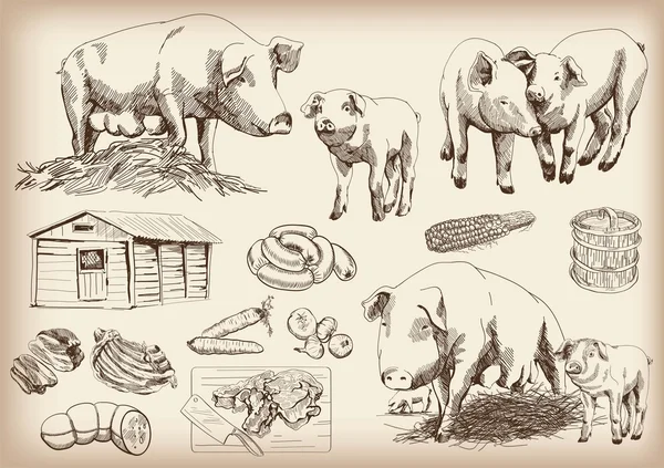 Pig-breeding — Stock Illustration Pig-breeding Stock Vector