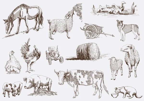 Animales de granja — Vector de stock