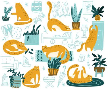 Oyuncu kedi düz el çizilmiş vektör rengi karakter seti. Şirin, yaramaz kediler yatar, evin içinde otururlar. Kedi yavrusu ev bitkileriyle, saksılarla oynuyor. İzole edilmiş İskandinav çizgi filmleri