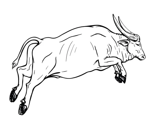 Tekening van een springbuffel. Zwart-wit schets. — Stockvector