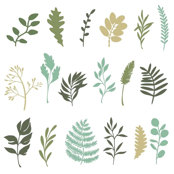 Conjunto de plantas y hierbas. Ilustración vectorial plana de color aislada en blanco — Vector de stock