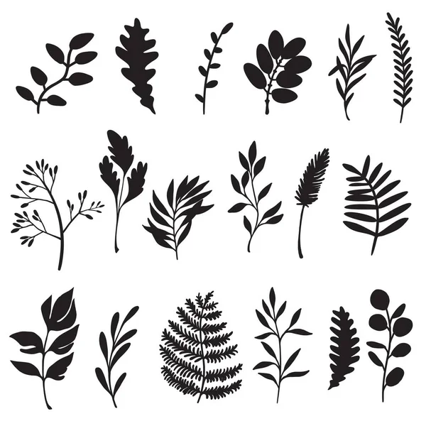 Conjunto de plantas y hierbas. Ilustración vectorial plana en blanco y negro — Vector de stock