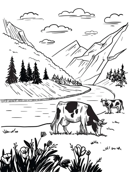 Vacas pastan en prados alpinos vector ilustración — Vector de stock