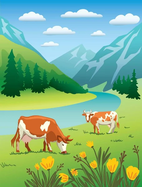 Vacas pastan en prados alpinos Ilustración a color — Vector de stock