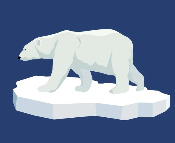 Polar bear. Illustration of a polar bear standing on an ice floe, side view. Flat style. — Stock vektor