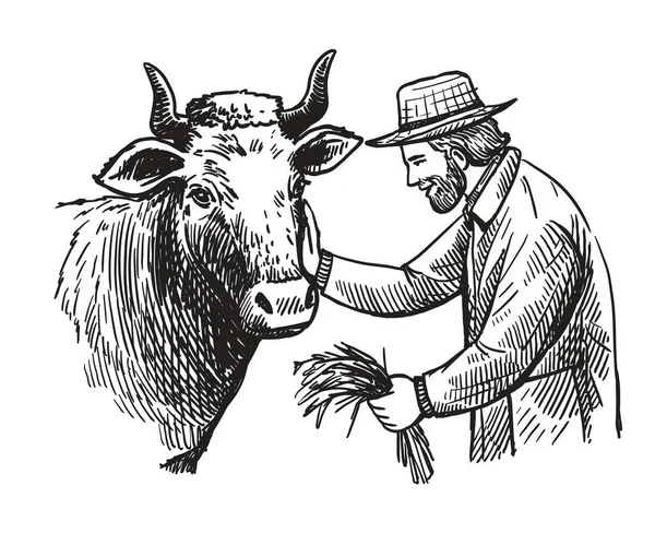 Γεωργός ταΐζει αγελάδα, κτηνοτροφία, χειροποίητο σκίτσο. — Διανυσματικό Αρχείο