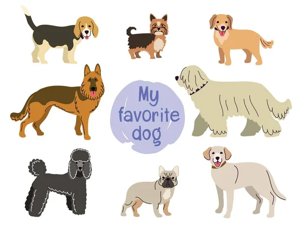 不同品种的狗在白色背景下的卡通画 — 图库矢量图片