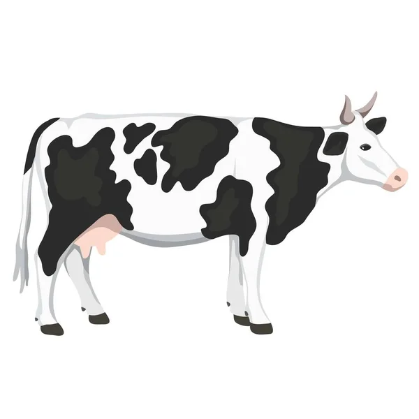 Elszigetelt tehén fehér háttérrel, állattenyésztés, kézzel készített illusztráció. — Stock Vector