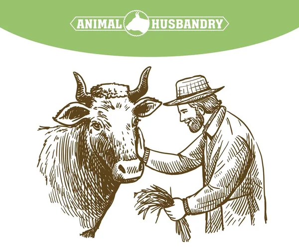 Çiftçi ineği besliyor, hayvancılık yapıyor, el yapımı çizimler yapıyor.. — Stok Vektör