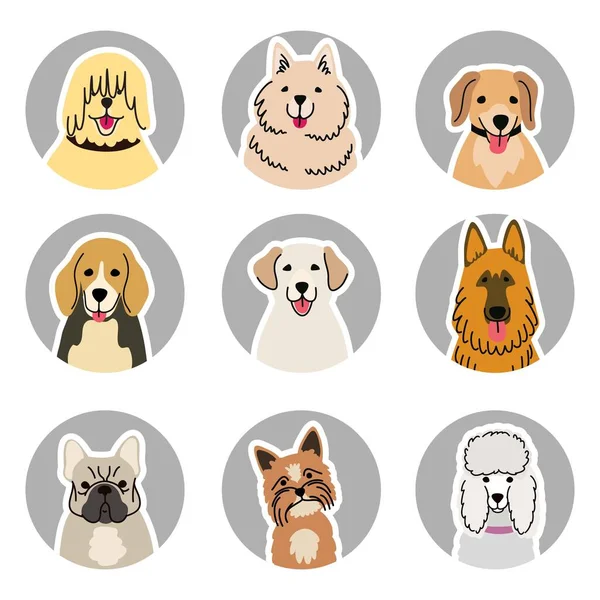 Cabeças de várias raças de cães desenhos animados ilustração a cores no fundo branco —  Vetores de Stock