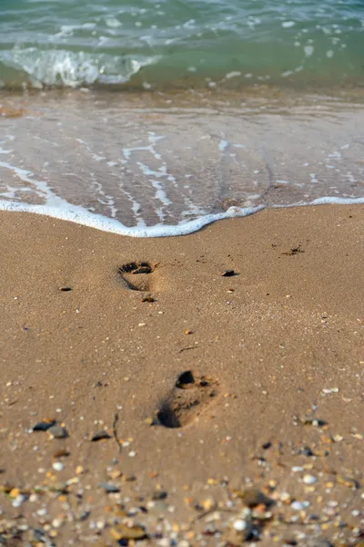 Footprints on the summer beach — Stock Photo, Image