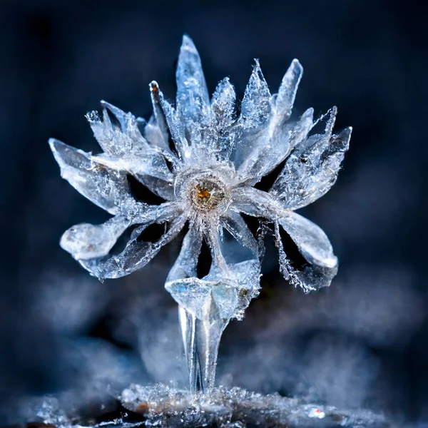 A frozen flower Stock Photos, Royalty Free A frozen flower Images