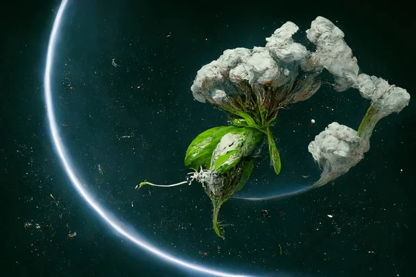 Plant Outer Space — Foto de Stock