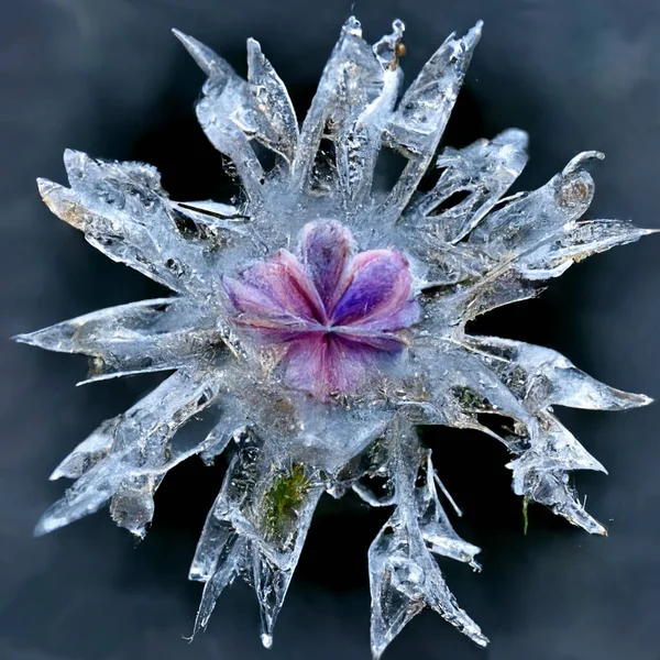 Frozen Flower Dark Background Zdjęcia Stockowe bez tantiem