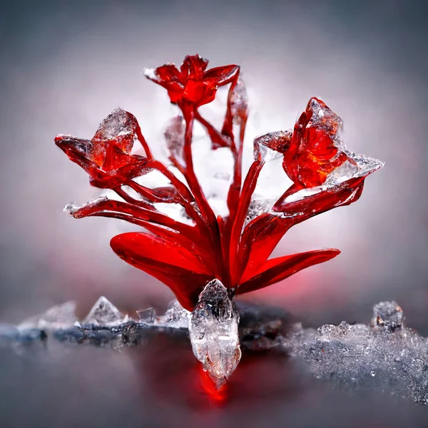 Rot Gefrorene Blume Auf Weißem Hintergrund — Stockfoto