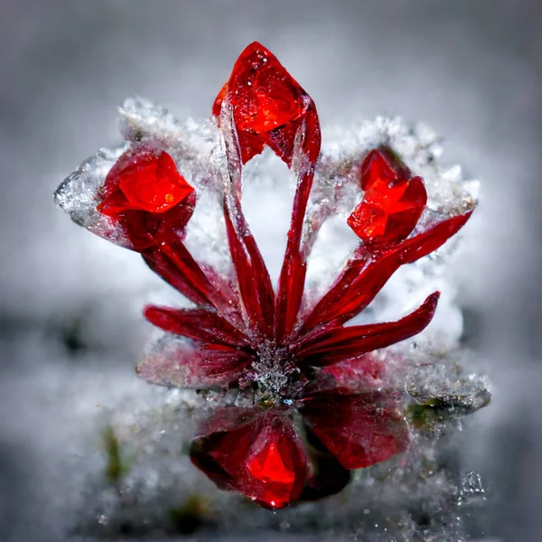 Red Frozen Flower White Background Zdjęcie Stockowe