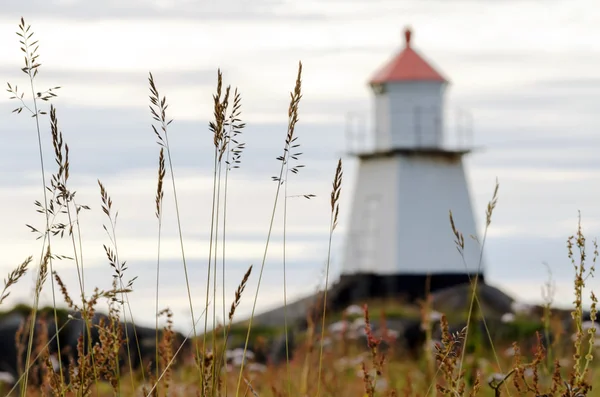 Phare derrière prairie herbe — Photo