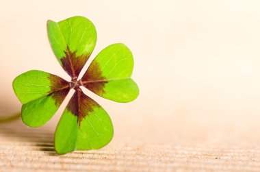 Four-leaved cloverleaf
